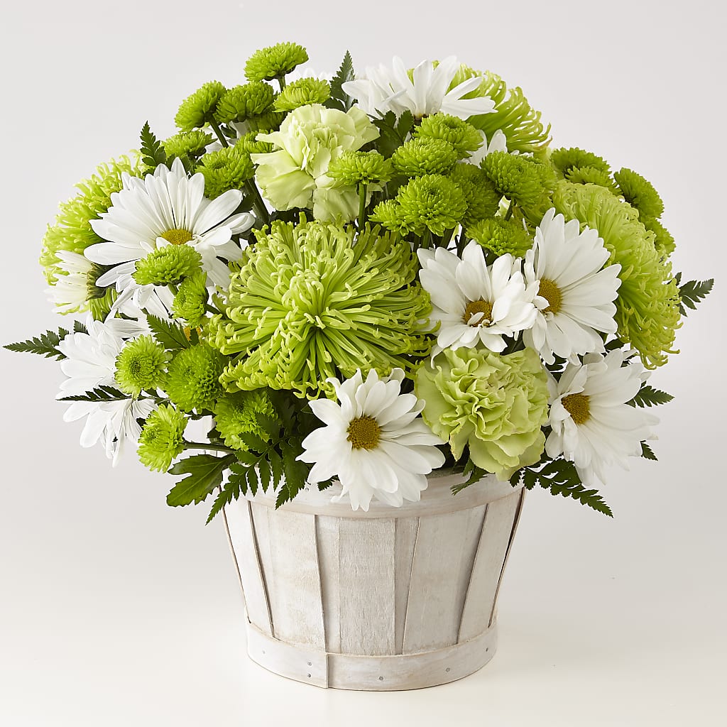 Lucky Charm Basket (Standard) – The Andes Flowers Llc, Fort Myers FL