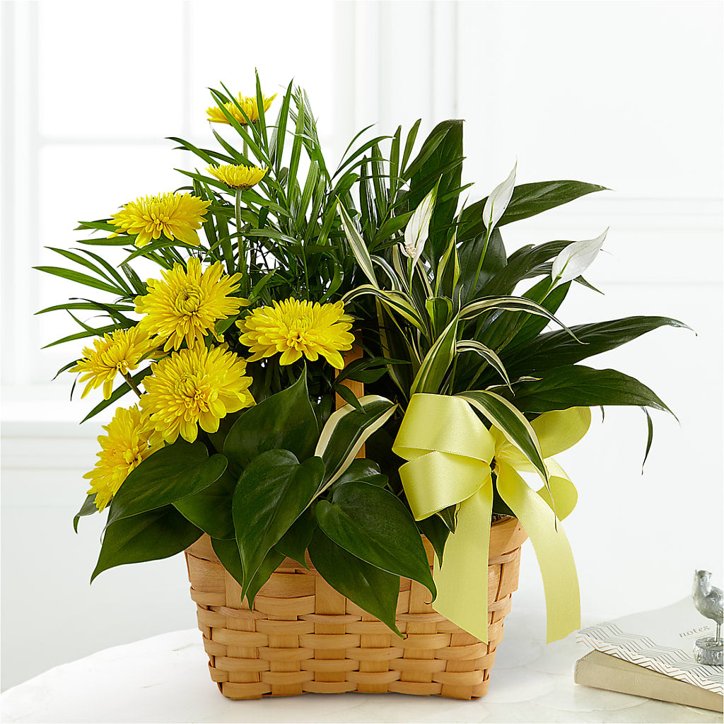 Loving Light Dishgarden – The Andes Flowers Llc, Fort Myers FL