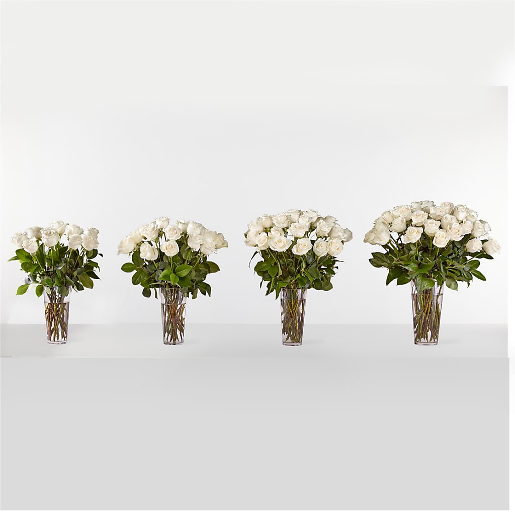 Long Stem White Rose Bouquet – The Andes Flowers Llc, Fort Myers FL