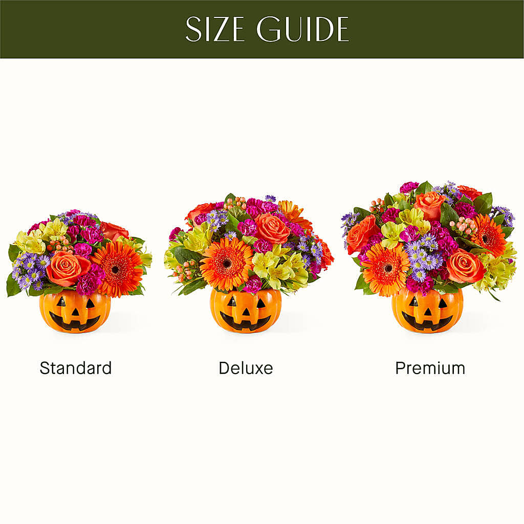 Tricks & Treats Pumpkin – The Andes Flowers Llc, Fort Myers FL