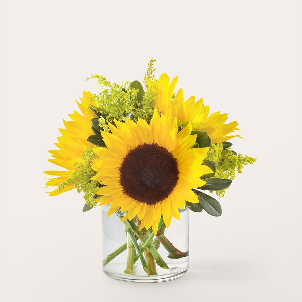 Beaming Sunflower Bouquet – The Andes Flowers Llc, Fort Myers FL