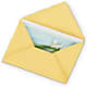 Greeting Card – The Andes Flowers Llc, Fort Myers FL