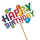 Happy Birthday Pick –  The Andes Flowers Llc, Fort Myers FL