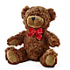 Adorable Plush Bear –  The Andes Flowers Llc, Fort Myers FL