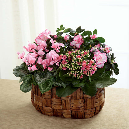 Pink Assortment –  The Andes Flowers Llc, Fort Myers FL