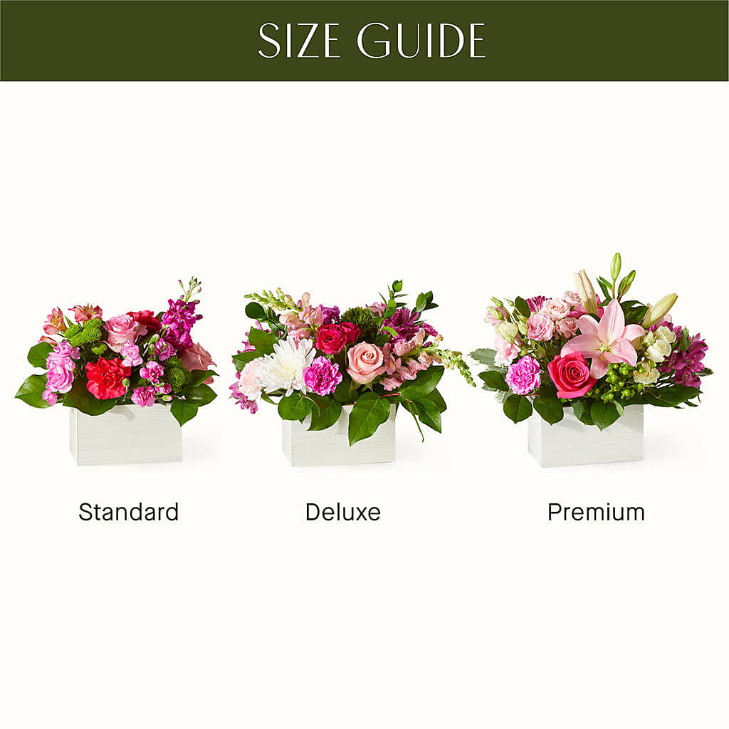 Sweetberry Box – A Florist Original –  The Andes Flowers Llc, Fort Myers FL