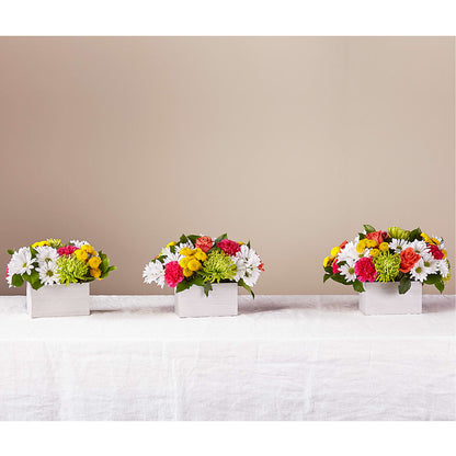 Sorbet Bouquet –  The Andes Flowers Llc, Fort Myers FL