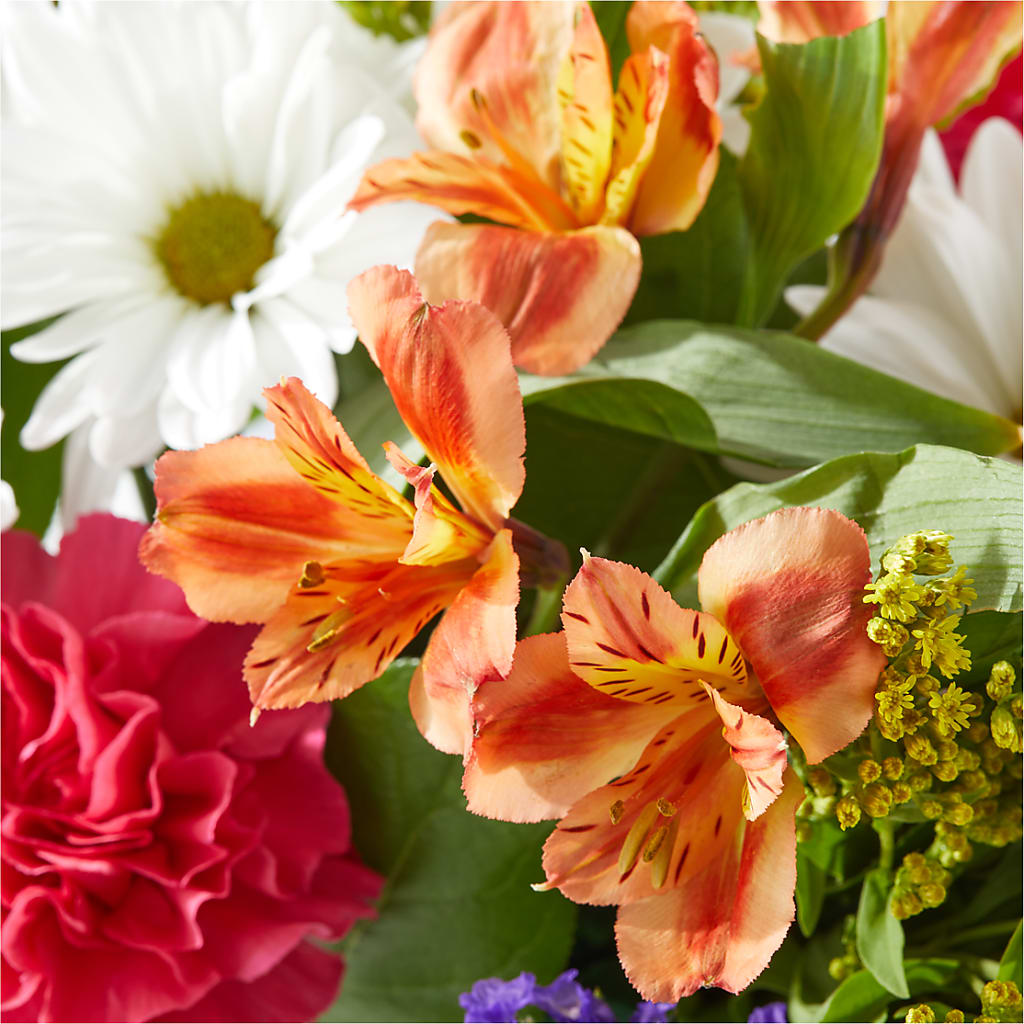 Oopsie Daisy Box Bouquet –  The Andes Flowers Llc, Fort Myers FL