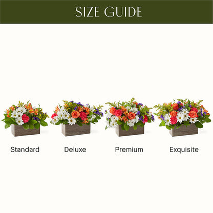 Oopsie Daisy Box Bouquet –  The Andes Flowers Llc, Fort Myers FL