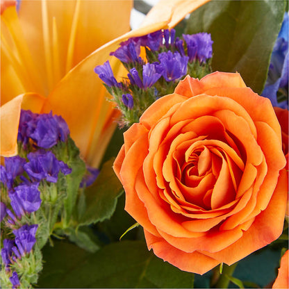 Radiant Citrus Box Bouquet –  The Andes Flowers Llc, Fort Myers FL