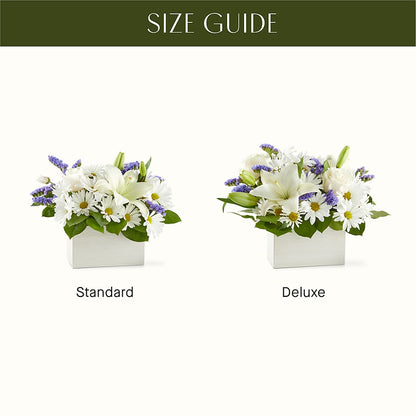 Beyond Blue Box Bouquet –  The Andes Flowers Llc, Fort Myers FL