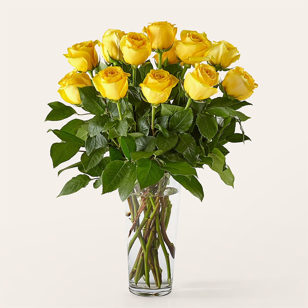 Long Stem Yellow Rose Bouquet –  The Andes Flowers Llc, Fort Myers FL
