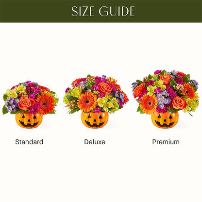 Tricks & Treats Pumpkin –  The Andes Flowers Llc, Fort Myers FL