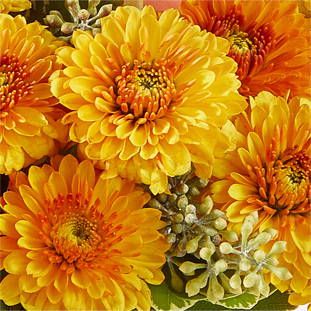 Peachy Pumpkin –  The Andes Flowers Llc, Fort Myers FL