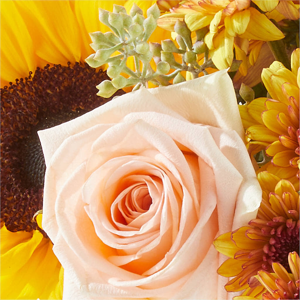 Pumpkin to Talk About Bouquet –  The Andes Flowers Llc, Fort Myers FL