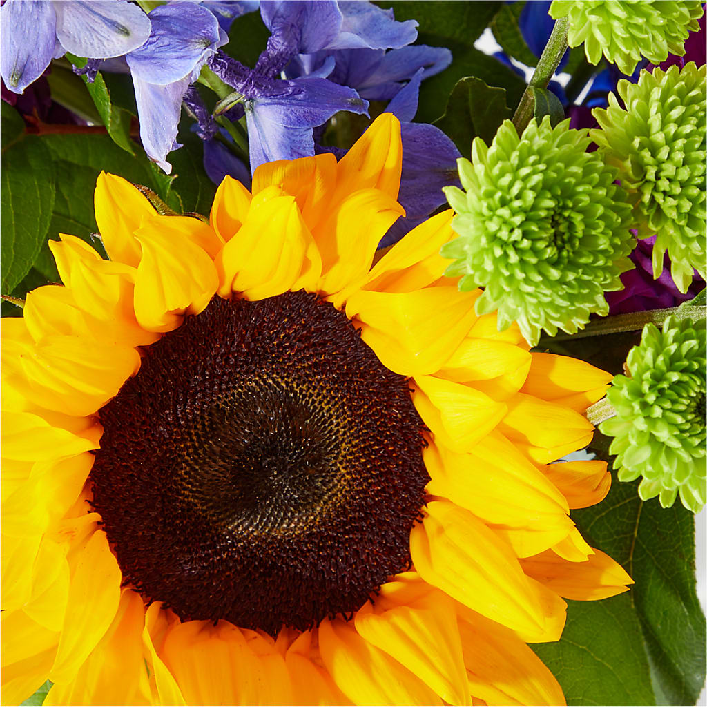 Catching Rays Bouquet –  The Andes Flowers Llc, Fort Myers FL
