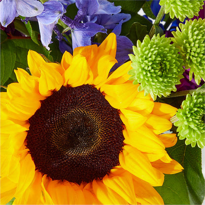 Catching Rays Bouquet –  The Andes Flowers Llc, Fort Myers FL