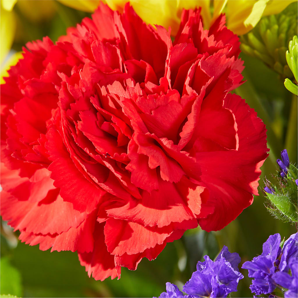 Brighter Days Bouquet –  The Andes Flowers Llc, Fort Myers FL