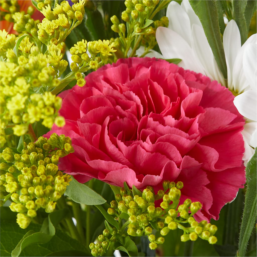 Oopsie Daisy Bouquet –  The Andes Flowers Llc, Fort Myers FL