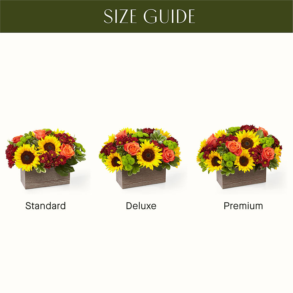 Happy Harvest Garden –  The Andes Flowers Llc, Fort Myers FL
