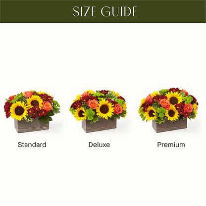 Happy Harvest Garden –  The Andes Flowers Llc, Fort Myers FL