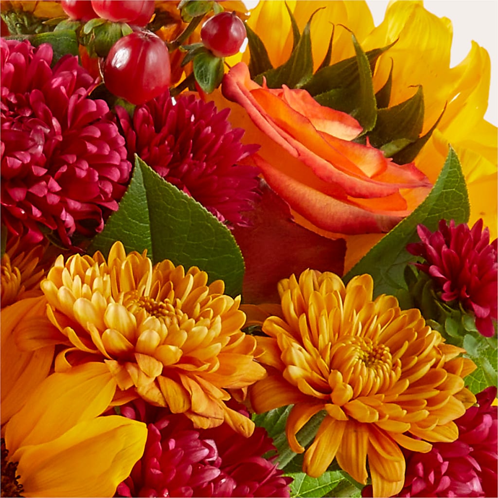 Sweater Season - A Florist Original –  The Andes Flowers Llc, Fort Myers FL