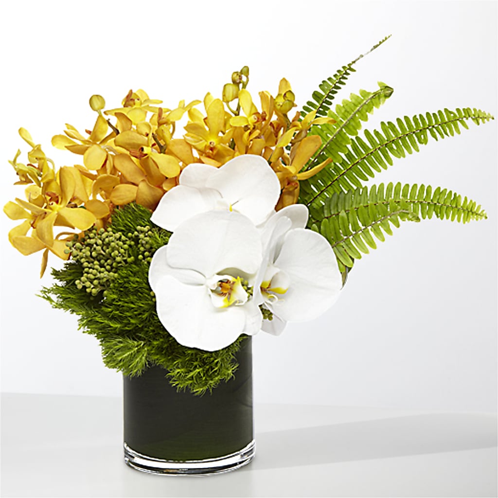 The Tropics –  The Andes Flowers Llc, Fort Myers FL