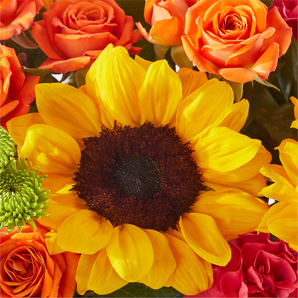 Sun-drenched Blooms Box Bouquet –  The Andes Flowers Llc, Fort Myers FL
