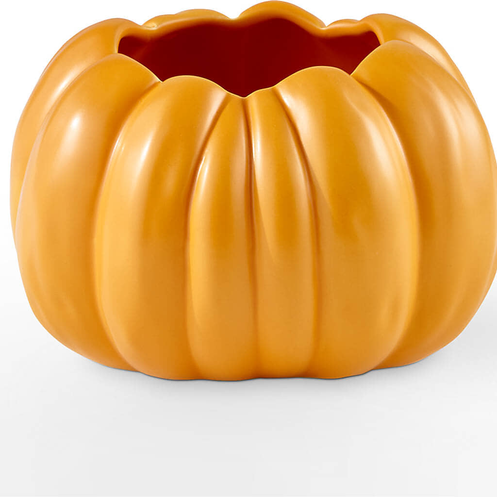Pick of the Patch Pumpkin Bouquet –  The Andes Flowers Llc, Fort Myers FL