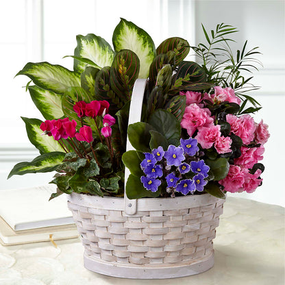 Peaceful Garden Planter –  The Andes Flowers Llc, Fort Myers FL
