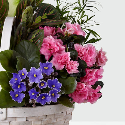Peaceful Garden Planter –  The Andes Flowers Llc, Fort Myers FL