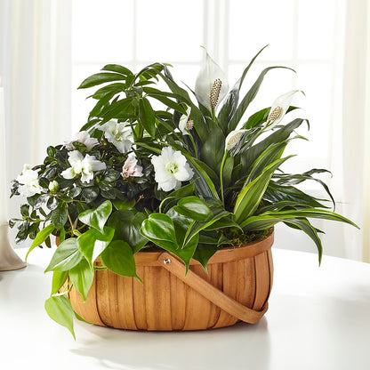 Serene Dishgarden –  The Andes Flowers Llc, Fort Myers FL
