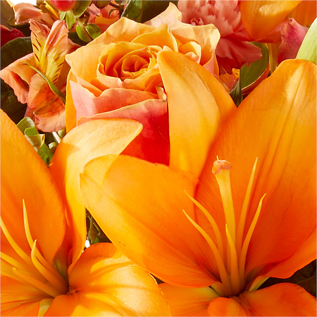 Afternoon Light Bouquet –  The Andes Flowers Llc, Fort Myers FL