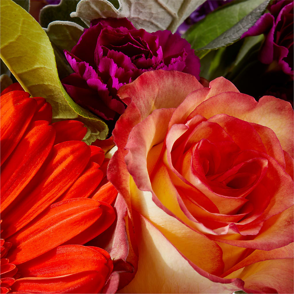 Sangria Bouquet –  The Andes Flowers Llc, Fort Myers FL