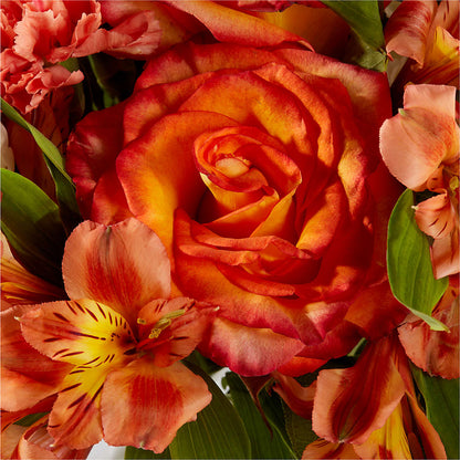 Apricot Glow Bouquet –  The Andes Flowers Llc, Fort Myers FL