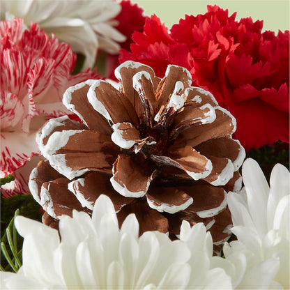 Candy Cane Lane Bouquet –  The Andes Flowers Llc, Fort Myers FL