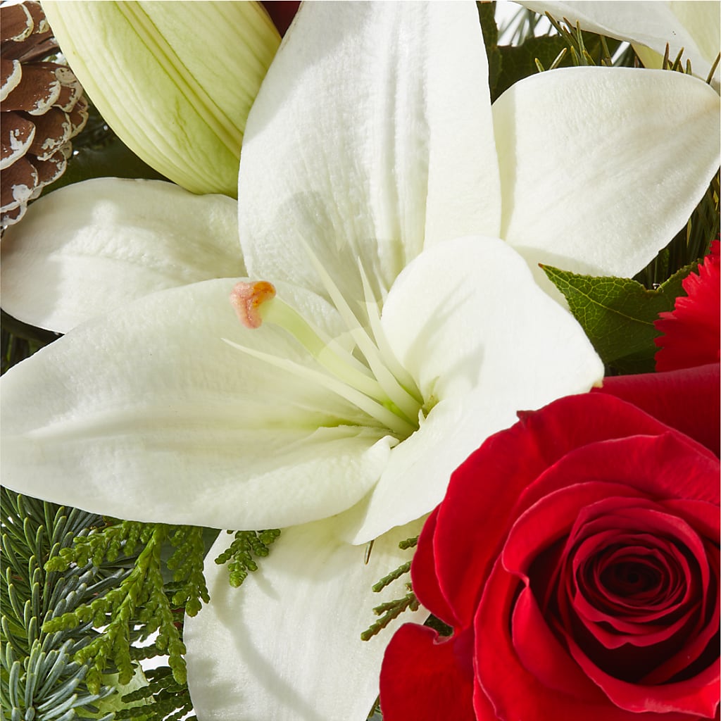 Oh So Jolly Bouquet –  The Andes Flowers Llc, Fort Myers FL