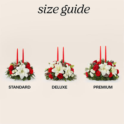 Seasonal Festivities Centerpiece –  The Andes Flowers Llc, Fort Myers FL