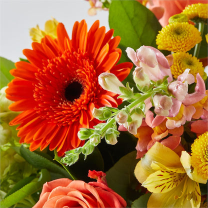 Autumn Sunshine Bouquet –  The Andes Flowers Llc, Fort Myers FL