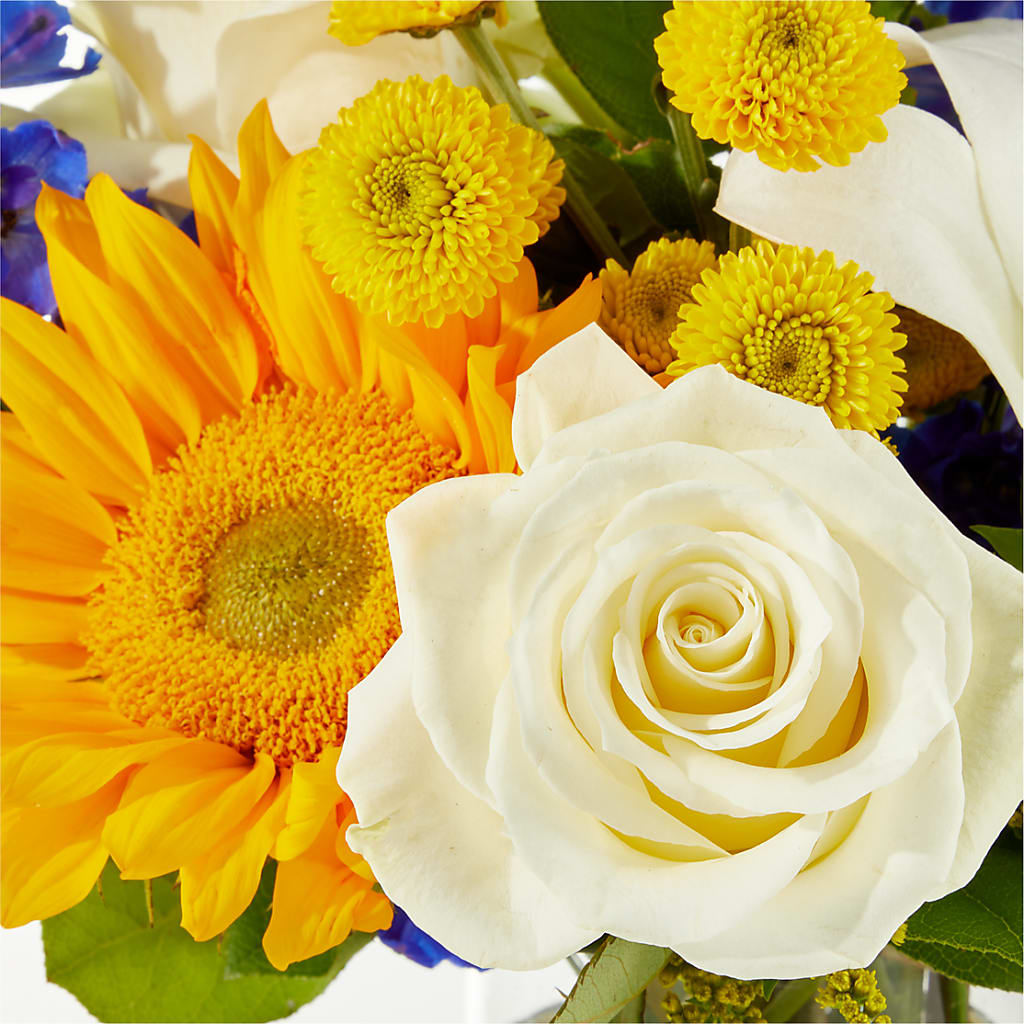 Stargazing Bouquet –  The Andes Flowers Llc, Fort Myers FL