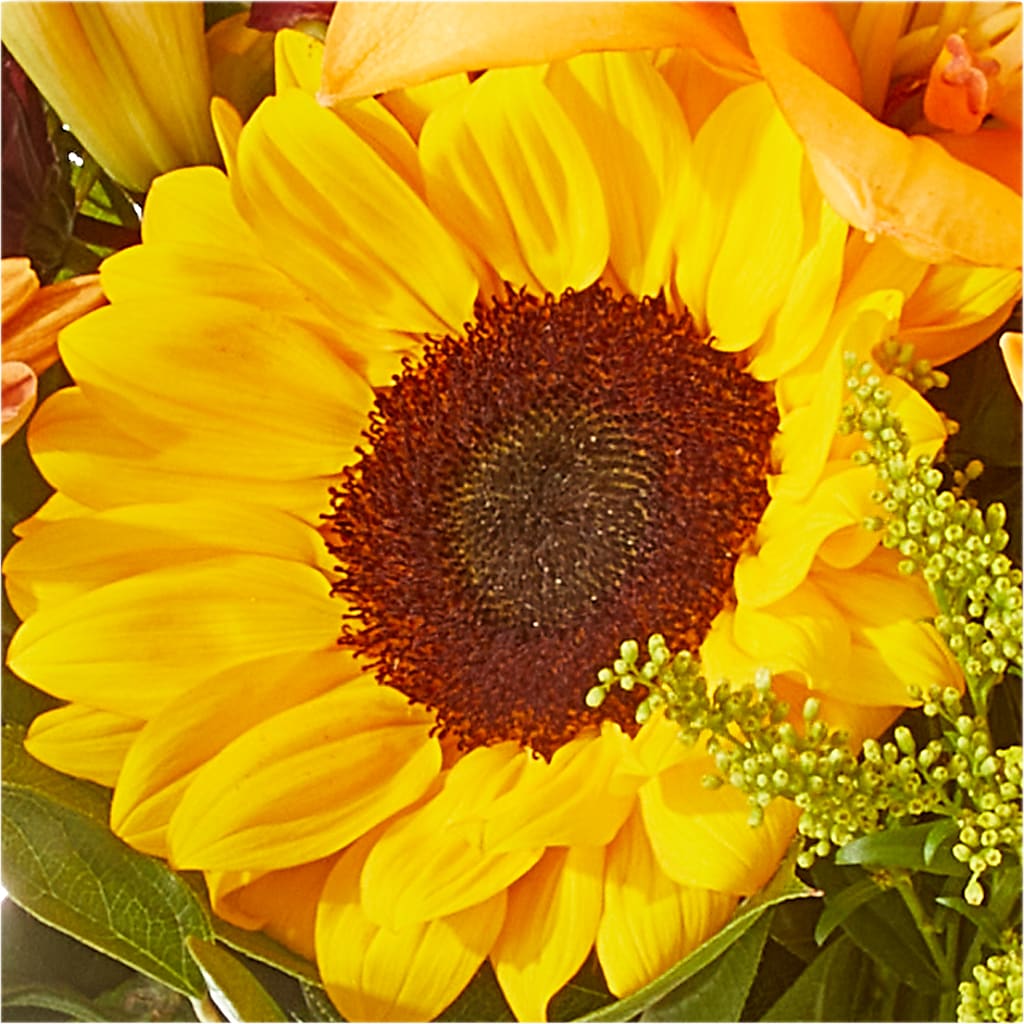 Seasons Change Bouquet –  The Andes Flowers Llc, Fort Myers FL