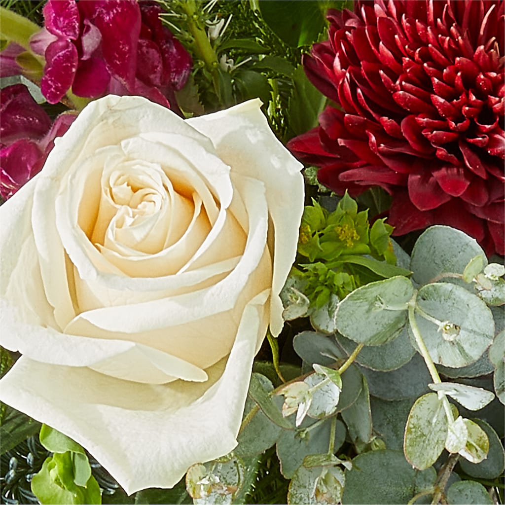 Cranberry Fizz Bouquet –  The Andes Flowers Llc, Fort Myers FL