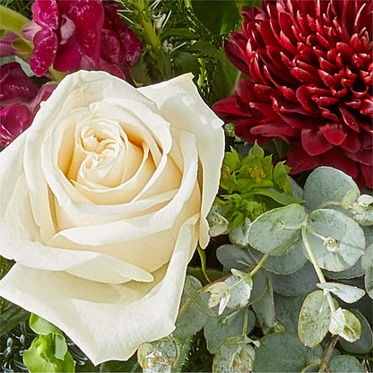 Cranberry Fizz Bouquet –  The Andes Flowers Llc, Fort Myers FL