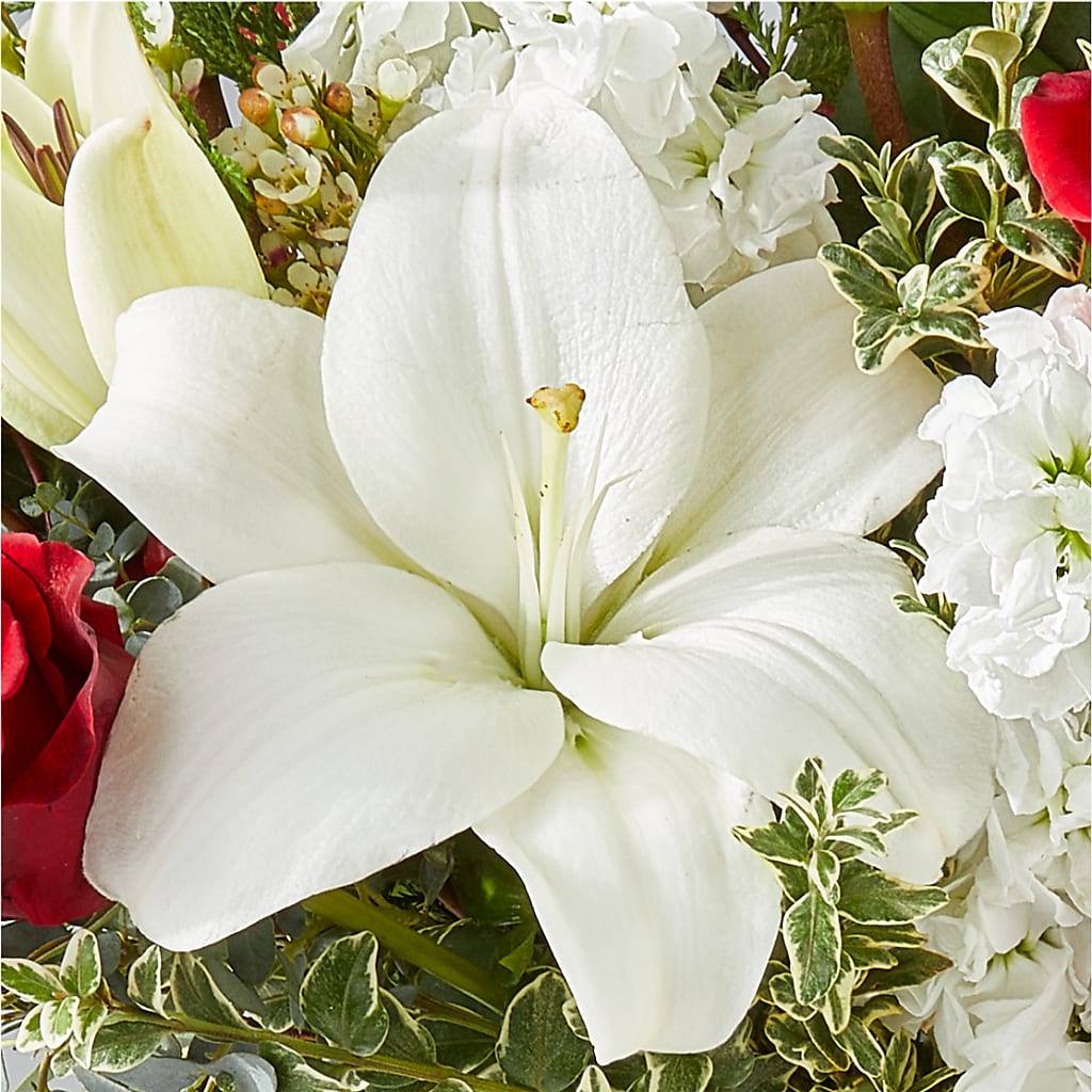 Twinkle Lights Bouquet –  The Andes Flowers Llc, Fort Myers FL