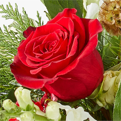 Deck the Halls Bouquet –  The Andes Flowers Llc, Fort Myers FL