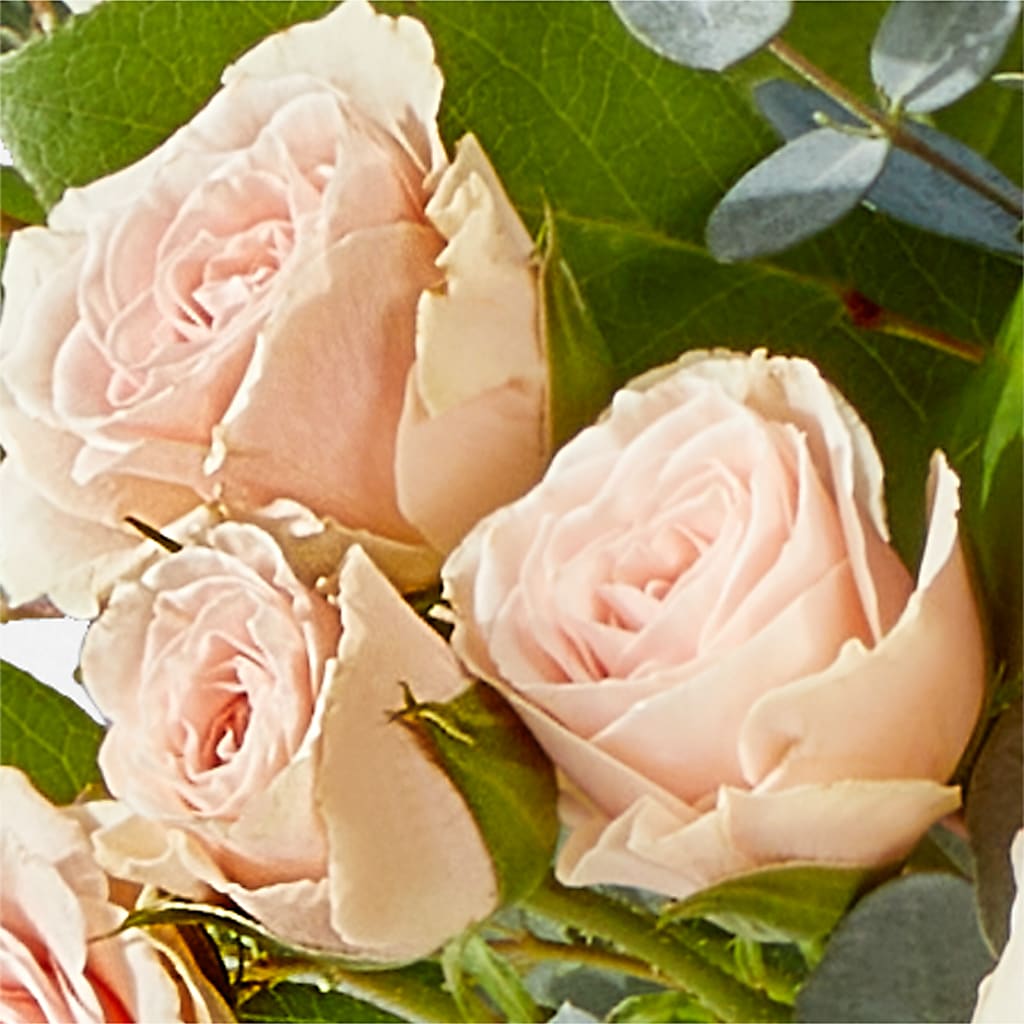Inspired Bouquet –  The Andes Flowers Llc, Fort Myers FL
