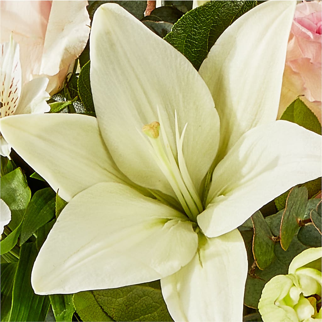 Ballet Slippers Bouquet –  The Andes Flowers Llc, Fort Myers FL