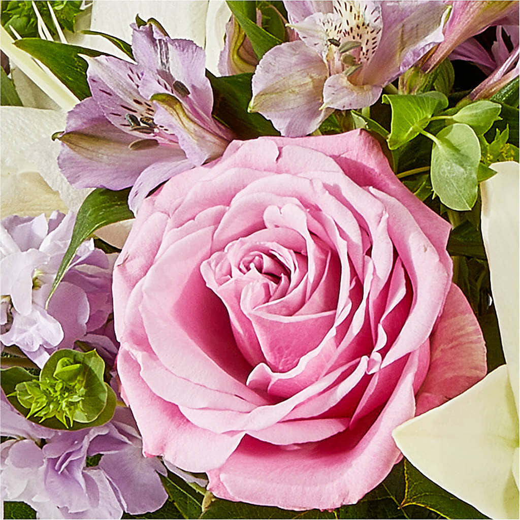 Daydreamer Bouquet –  The Andes Flowers Llc, Fort Myers FL