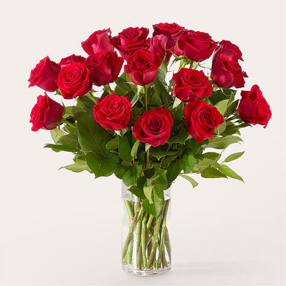 The One Red Rose Bouquet –  The Andes Flowers Llc, Fort Myers FL