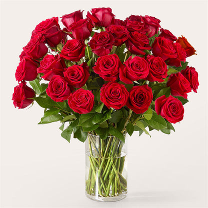 The One Red Rose Bouquet –  The Andes Flowers Llc, Fort Myers FL